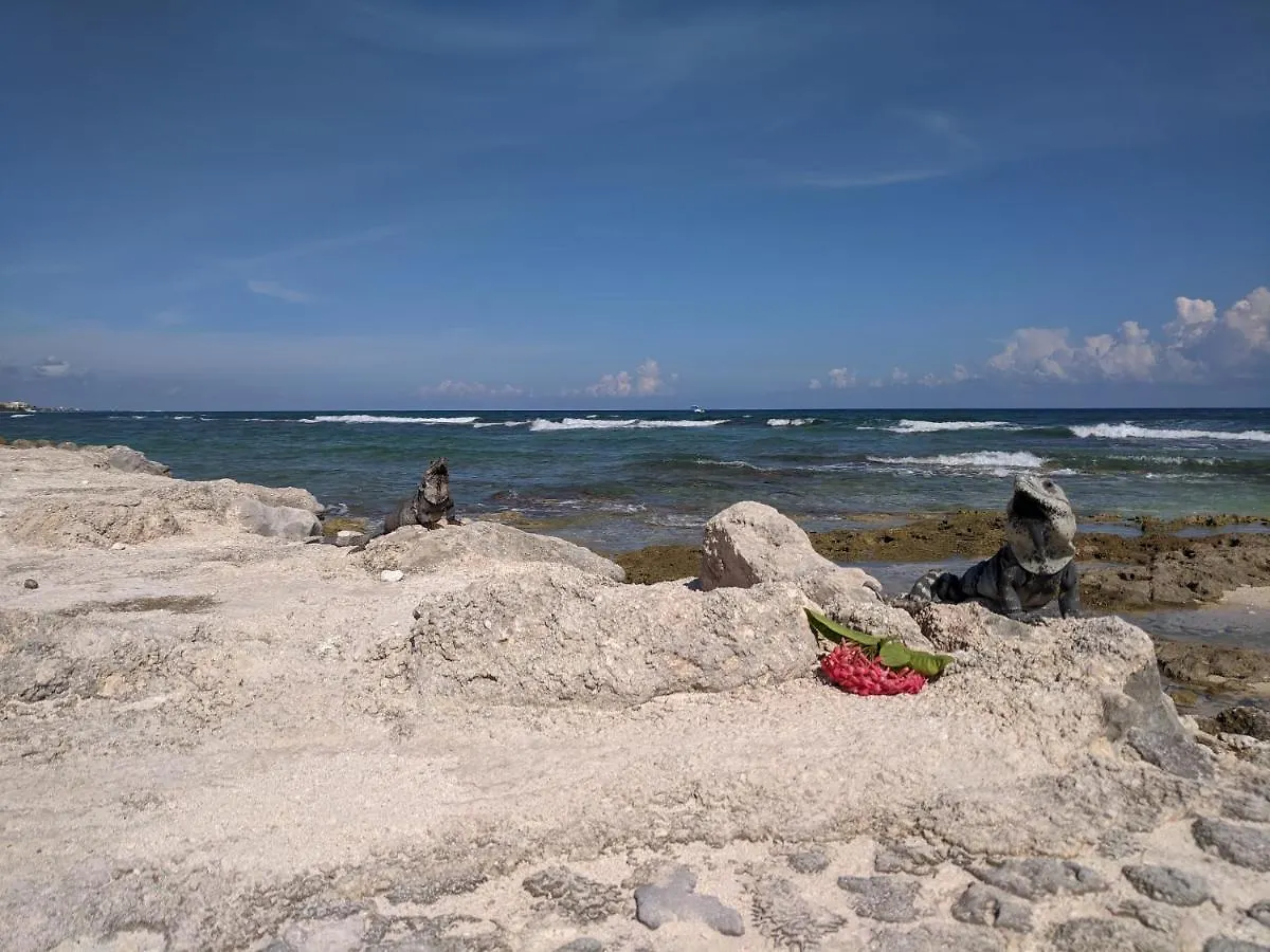 Bahia Principe & Golf Residences Tulum Lägenhet